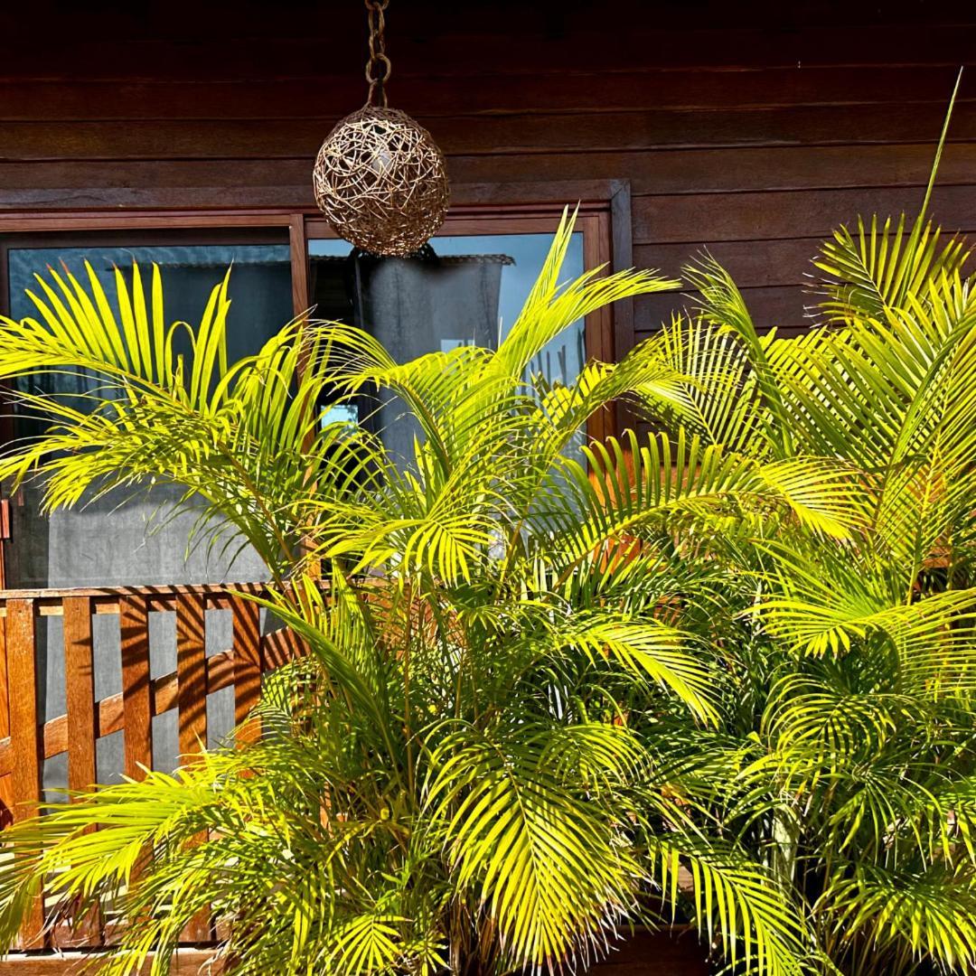 Ecoco Holbox - Ecochic - Cabanas De Madera - Holbox Retreat Zewnętrze zdjęcie