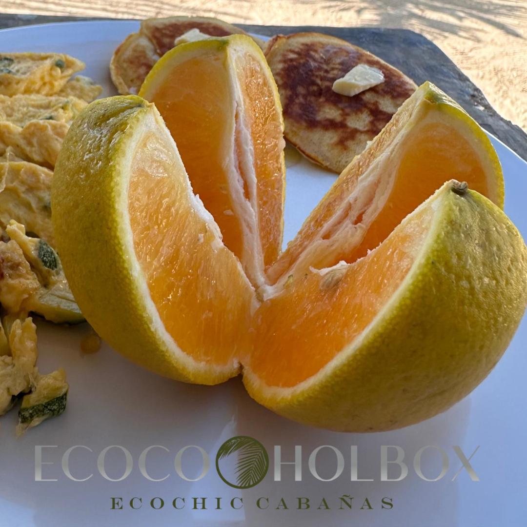 Ecoco Holbox - Ecochic - Cabanas De Madera - Holbox Retreat Zewnętrze zdjęcie